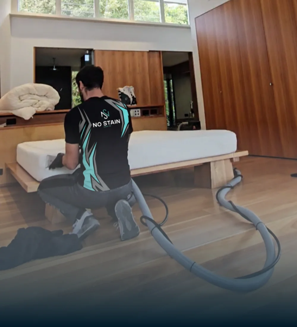 No Stain Clean Co, premium cleaning across Sydney